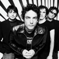 thewallflowers1