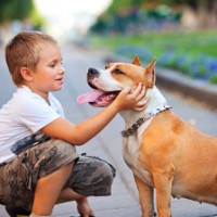 boy and dog