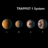 trappist