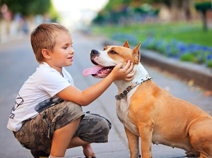 boy and dog