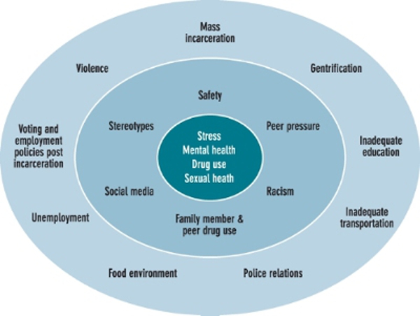 center for promise graphic