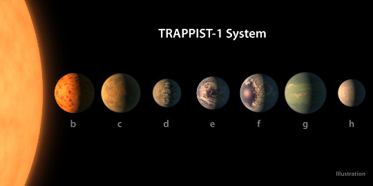 trappist