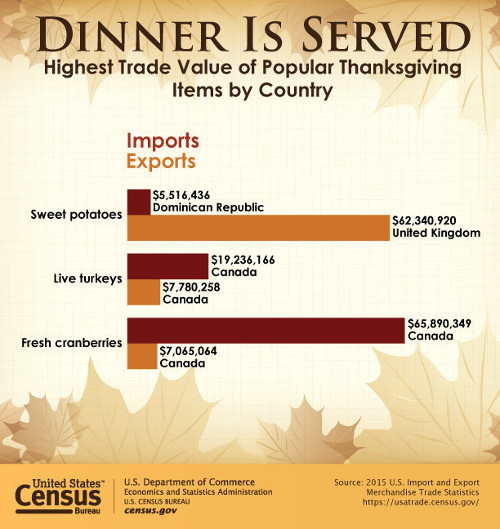 turkey graphic